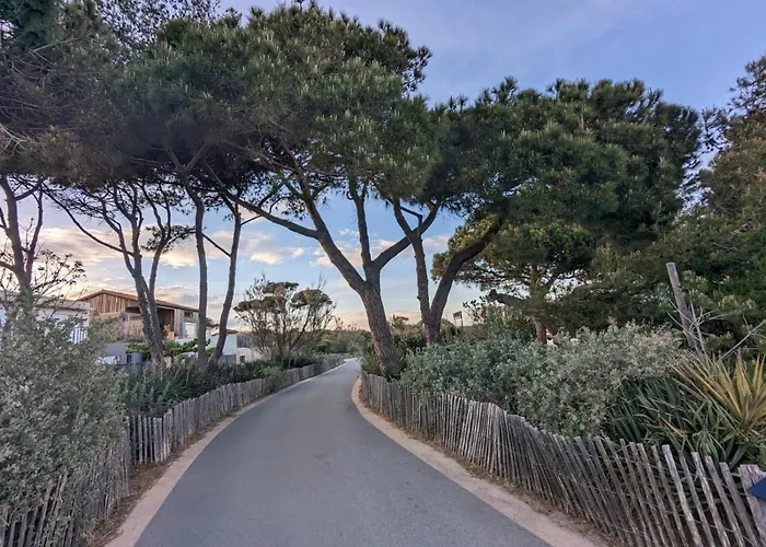 L'instant - Bord De - Avec Grand Jardin A La Capte Hyères