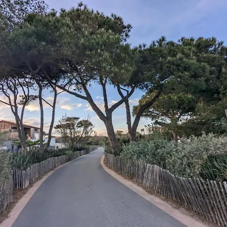L'instant - Bord De - Avec Grand Jardin A La Capte Hyères